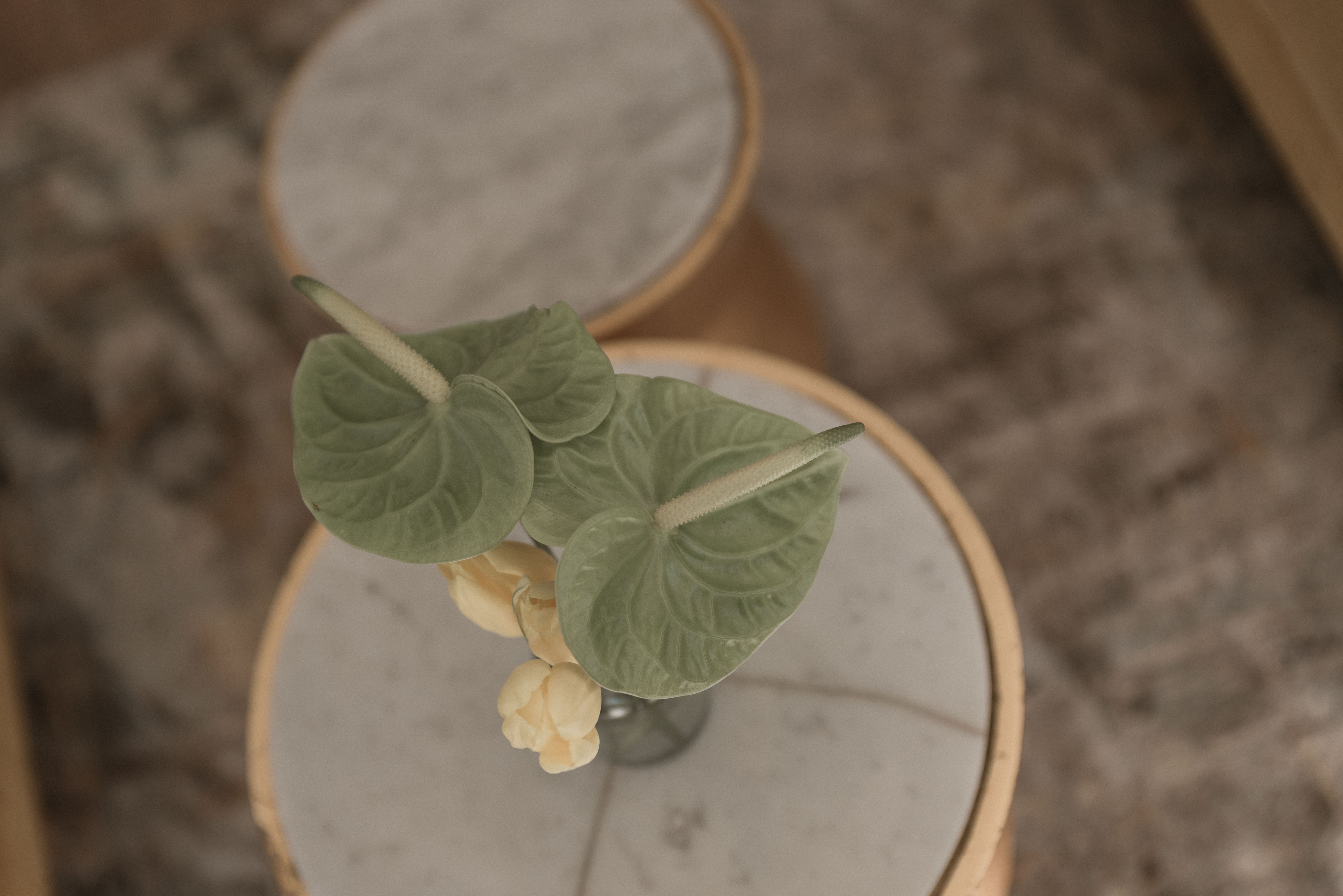 Special event photography captured by JackalBerry SA Photography Gauteng South Africa