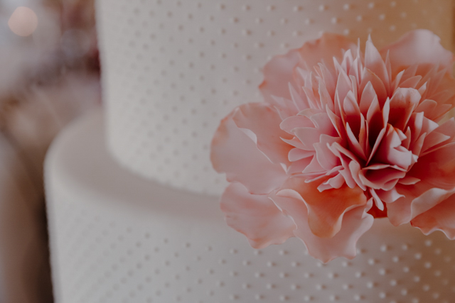 Special events photography